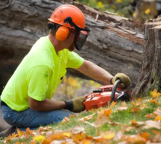 tree services Grasonville